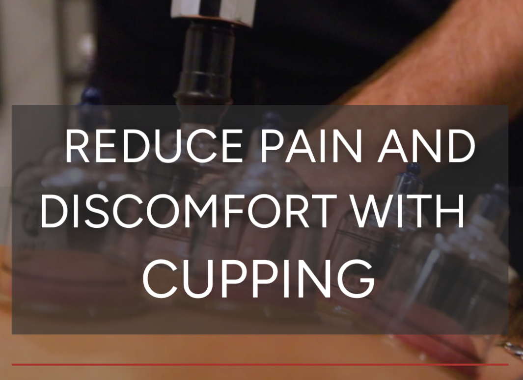 Not Just for Athletes: How Cupping Supports Everyday Recovery